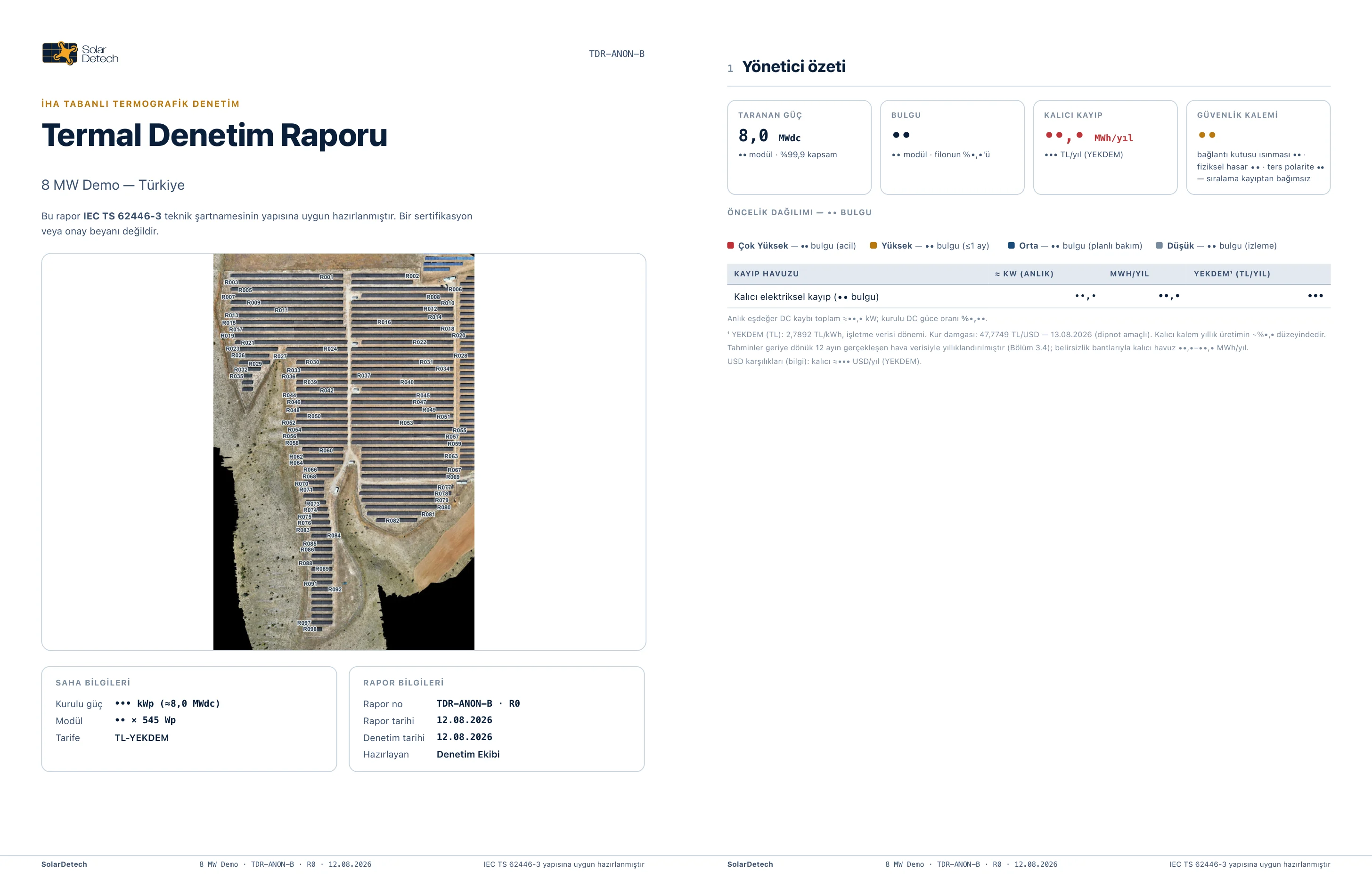 The first two pages of a delivered inspection report, cover and executive summary.