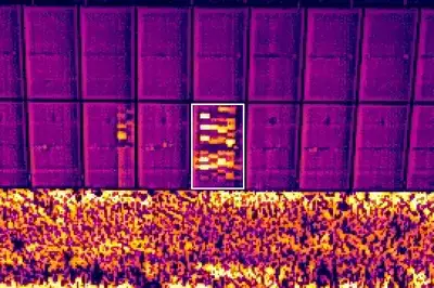 Reversed polarity. Thermal image from a real inspection, peak temperature difference against its neighbours +14.6 K.