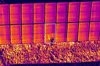 Vegetation shading. Thermal image from a real inspection, peak temperature difference against its neighbours +4.2 K.